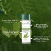 61155DoWAoL._SX466_ Biotique Morning Nectar Flawless Skin Lotion (190ml)