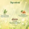 61584wJQFNL._SX466_ Biotique Morning Nectar Flawless Skin Lotion (190ml)