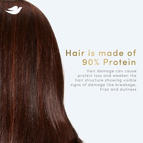 61QX9+3jjcL._SX466_ Dove Hair Fall Rescue Shampoo