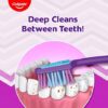 Colgate ZigZag Toothbrush - Medium (Pack of 6)