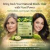 BSY Noni Black Hair Magic Hair Color Shampoo (12ml x 6 Sachets)