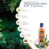 Parachute Advansed Ayurvedic Hair Oil (300ml)