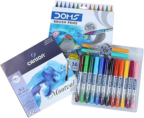 DOMS Non-Toxic Brush Pens in Cardboard Box (14 Assorted Shades - 1 Set)