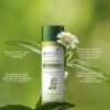 61Q0SjYHUHL._SX466_ Biotique Advanced Organics Bhringraj Therapeutic Hair Growth Oil (120ml / 4.06 fl oz)