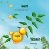 Margo Original Neem Soap (100g) | Buy 4 Get 1 Free (Value Pack)