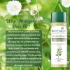71Z+TsTlWxL._SX466_ Biotique Advanced Organics Bhringraj Therapeutic Hair Growth Oil (120ml / 4.06 fl oz)